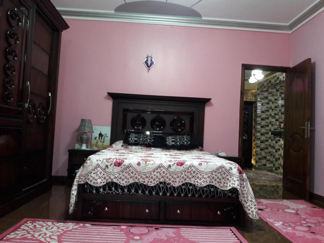 Gamal Pyramids Apartment 开罗 外观 照片
